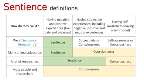 what does sentience mean.
